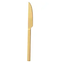 Pintinox Tafelmessen | DUKE GOLD | RVS | 12 Stuks | Lengte 220mm