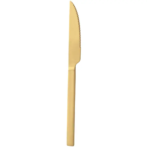 Tafelmessen | DUKE GOLD | RVS | 12 Stuks | Lengte 220mm