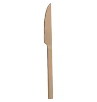 Pintinox Tafelmessen | DUKE COPPER | RVS | 12 Stuks | Lengte 220mm
