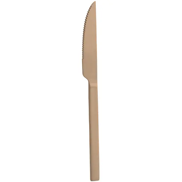 Tafelmessen | DUKE COPPER | RVS | 12 Stuks | Lengte 220mm