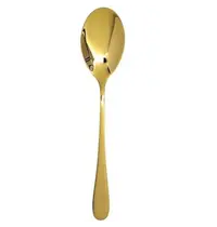 Pintinox Koffielepels | PRINCESS GOLD | RVS | 12 Stuks | Lengte 158mm