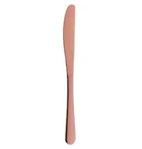 Pintinox Tafelmessen | PRINCESS COPPER | RVS | 12 Stuks | Lengte 230mm