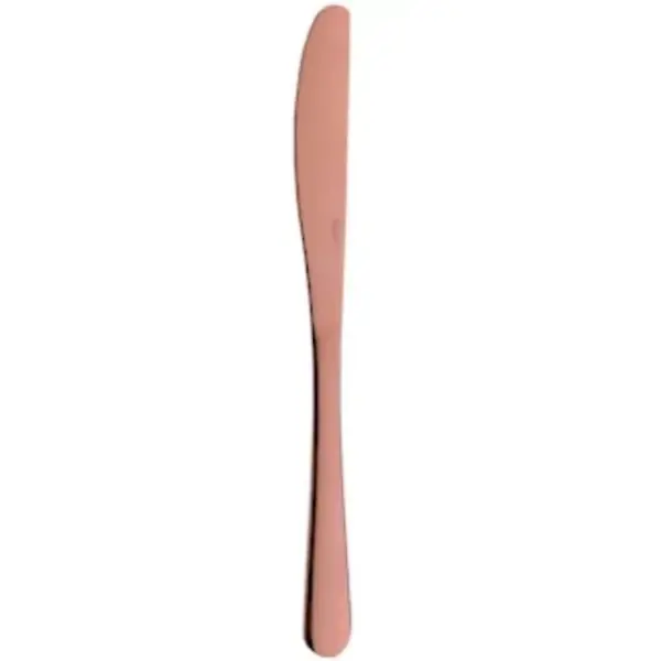 Tafelmessen | PRINCESS COPPER | RVS | 12 Stuks | Lengte 230mm