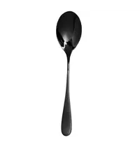 Pintinox Koffielepels | PRINCESS BLACK | RVS | 12 Stuks | Lengte 158mm 