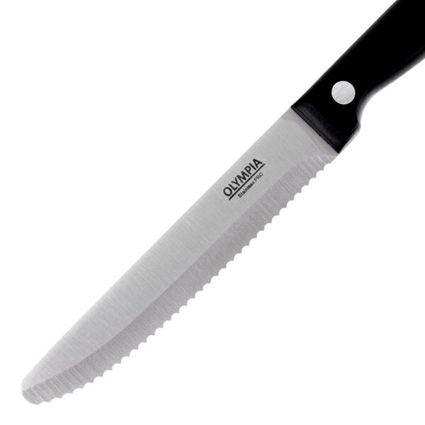 Steakmessen | RVS/Kunststof | 12 Stuks | Lengte 215mm