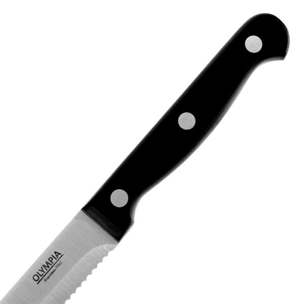 Steakmessen | RVS/Kunststof | 12 Stuks | Lengte 215mm