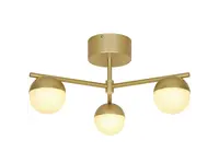Plafondlampen