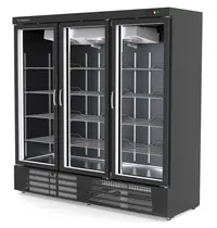 Coreco Wandvriezer | EBC | Zwart | -15°C/-20°C | Geforceerd | Draaideuren | Temperatuur-/Deuralarm | 2055x735x2055(h)mm