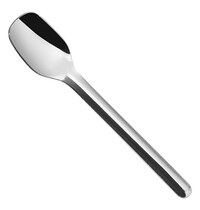EMGA Theelepel | RVS | Per Stuk | Lengte 120mm