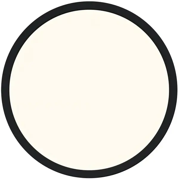 Plafondlamp | OJA | Zwart | Incl. Lichtbron | Ø294x23(h)mm
