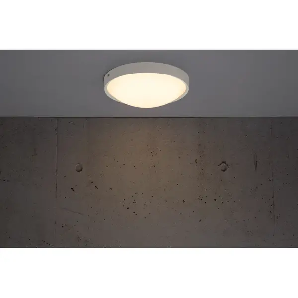 Plafondlamp | ALTUS | Wit  | Incl. Lichtbron | Ø244x90(h)mm