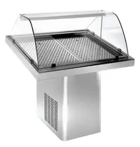 CombiSteel Viskoeltoonbank | -5°C | Plaatkoeling | Wielen | 1000x920x1180(h)mm