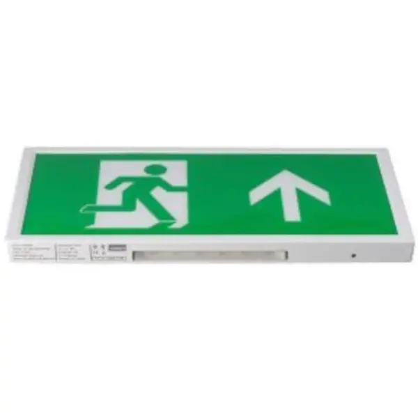 Noodverlichting | Groen/Wit | Incl. Lichtbron | 400x200x26(h)mm