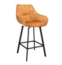 HC Barkrukken | BIAS | Fluweel/Metaal | Cognac | Zwarte Poten | Indoor | 2 Stuks | 500x570x950(h)mm 