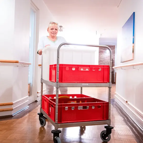 Serveerwagen | VARIOCART | RVS | 2 Niveaus (EN600x400) | Wielen (Geremd) | 740x485x1048(h)mm