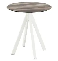 VEBA Inklapbare Tafel | INFINITY | HPL/RVS | Houtlook Blad | Wit Frame | In-/Outdoor | Ø700x732(h)mm