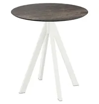 VEBA Inklapbare Tafel | INFINITY | HPL/RVS | Houtlook Blad | Wit Frame | In-/Outdoor | Ø700x732(h)mm