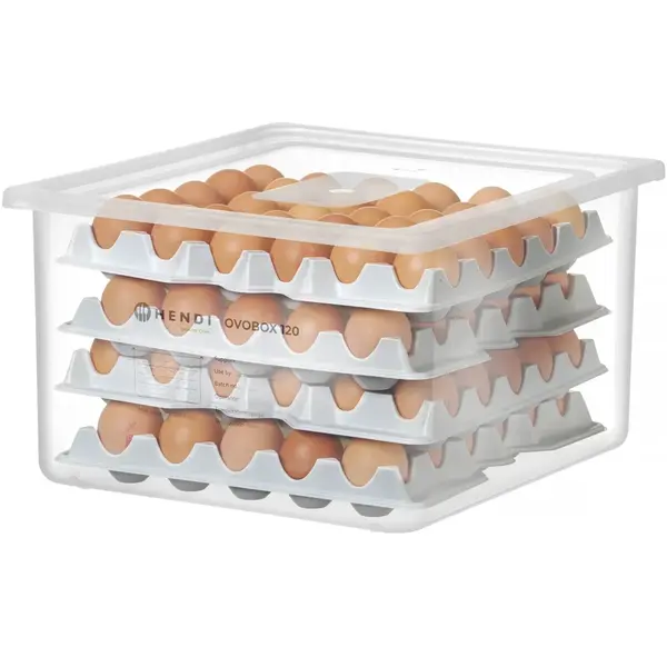 Eierbewaardoos | Polypropyleen | Incl 8 eierhouders cap. 120 | 355x325x200(h)mm