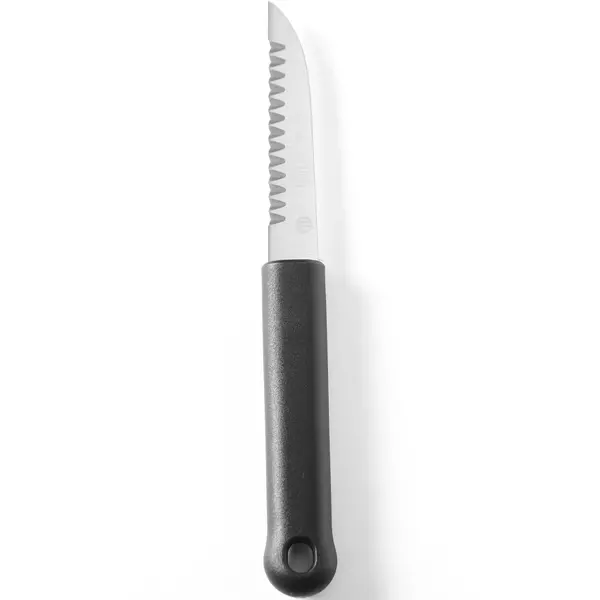 Decoratiemessenset | RVS | Zwart | 6 Stuks | Incl. Foudraal | 280x100x50(h)mm