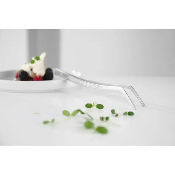 Pincet | RVS | Gebogen | 240mm
