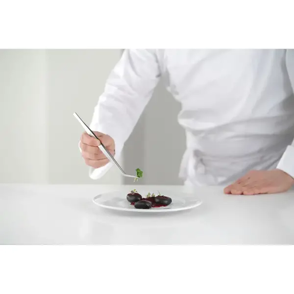 Pincet | RVS | Gebogen | 240mm