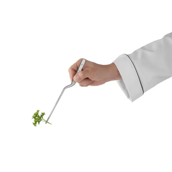 Pincet | RVS | Gebogen | 210mm