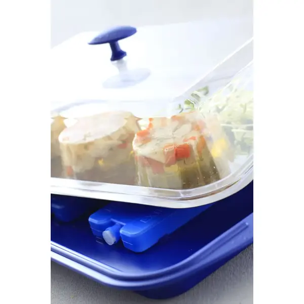 Buffetvitrine | Kunststof/RVS | Gekoeld | Incl. Serveerchaal | 2 Koelelementen + Deksel | 430x290x150(h)mm