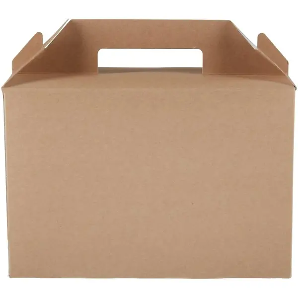 Voedseldozen | Karton | Recyclebaar | 125 Stuks