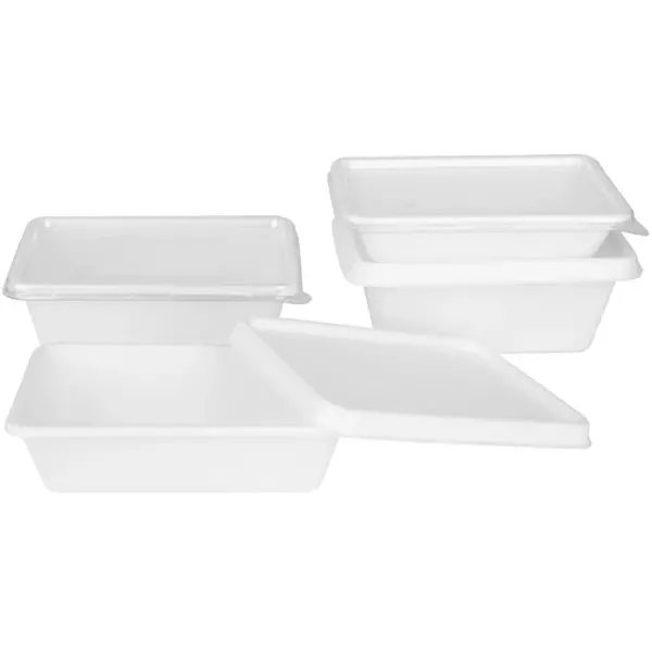 Deksels | Kunststof | Composteerbaar | Fiesta Recyclable/Compostable Voedselcontainers | 100 Stuks | 189x138x10(h)mm