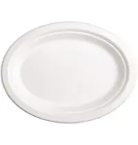 Fiesta Compostable Borden | Bagasse | Composteerbaar | 50 Stuks | 263x198mm