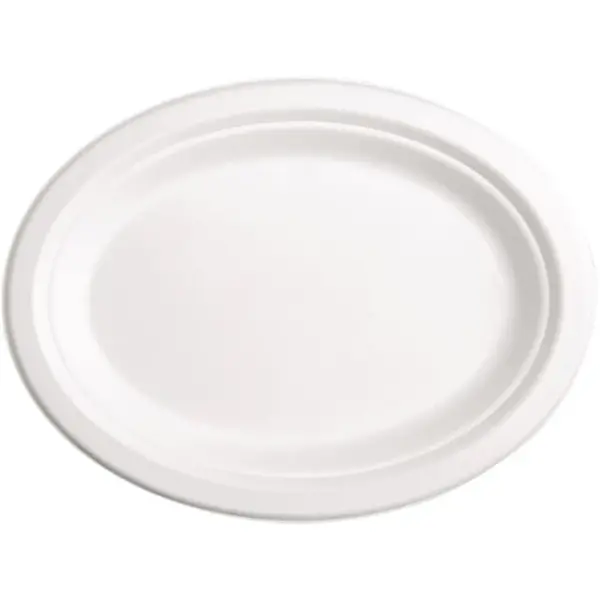 Borden | Bagasse | Composteerbaar | 50 Stuks | 263x198mm