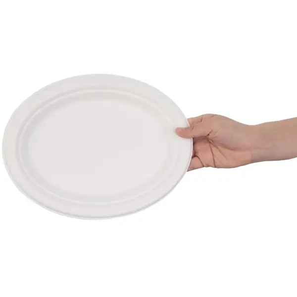 Borden | Bagasse | Composteerbaar | 50 Stuks | 263x198mm