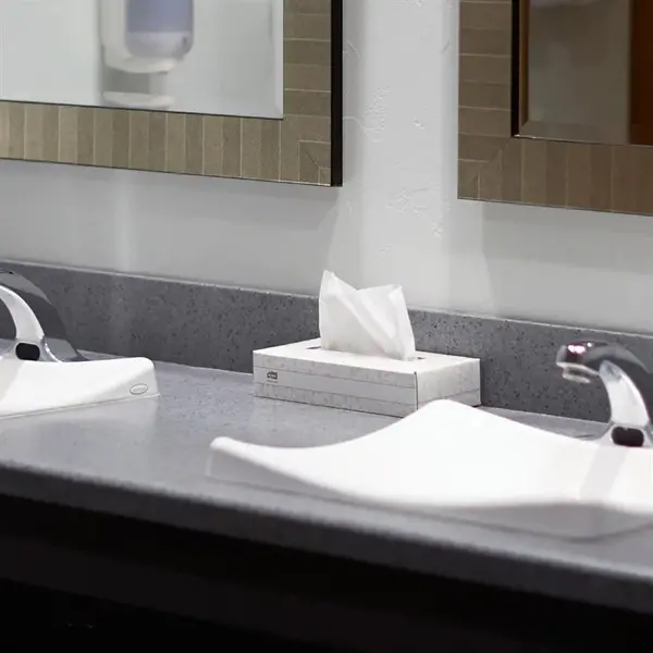 Gezichtsreinigingsdoekjes | PREMIUM | Papier | 2-Laags | 100 Vel/Pak | Extra Zacht | 30 Stuks