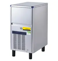 NordCap IJsblokjesmachine | SDH | Holle Blokjes (21g) | 39kg/24u | Bunker 12kg | Watergekoeld | 377x555x726(h)mm