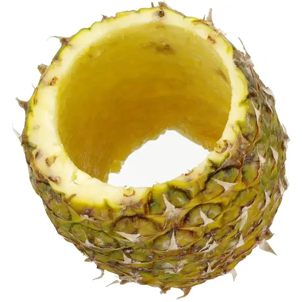 Ananassnijder | RVS | Zwart | 240x100mm