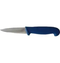 Pintinox Schilmes | RVS | Blauw (Vis) | HACCP | Lemmetlengte 90mm 