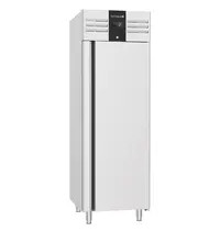 Tefcold Koelkast | ECPG | 650L (2/1 GN) | RVS | -2°C/+8°C | Geforceerd | Touchscreen | 702x815x2150(h)mm