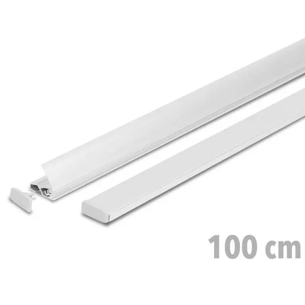 Posterrails | SLIM | Aluminium | Zilvergrijs | Lengte 100cm