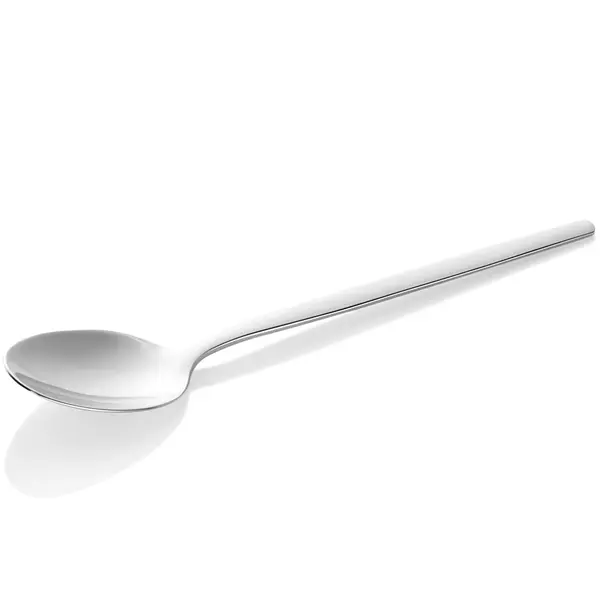 Mokkalepels | ALEX SILVER | RVS | 12 Stuks | Lengte 110mm