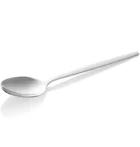 WAS Germany Dessertlepels | ALEX SILVER | RVS | 12 Stuks | Lengte 160mm 