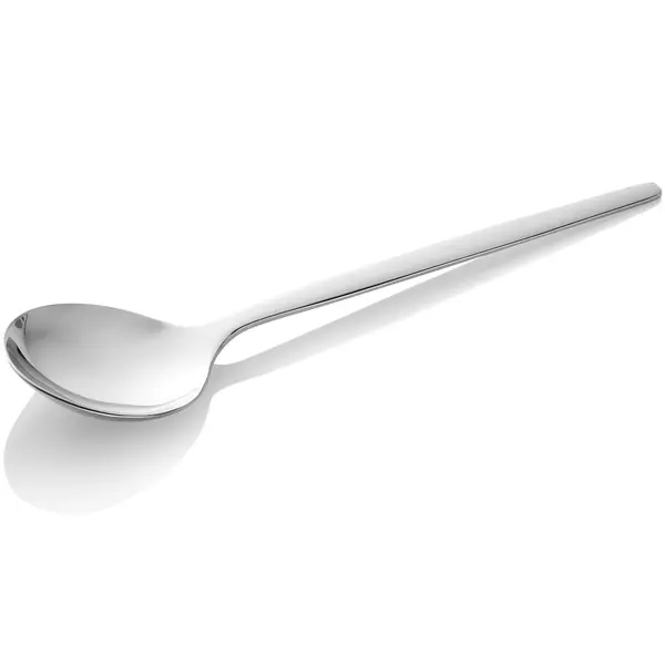 Soeplepels | ALEX SILVER | RVS | 12 Stuks | Lengte 180mm