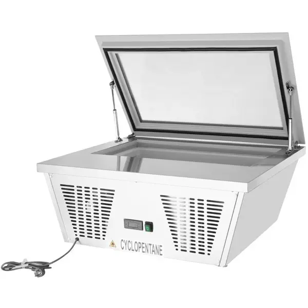 Schepijsvitrine | G-SERIE | RVS | 4x 5L | -15°C/-24°C | Statisch | 865x735x377(h)mm