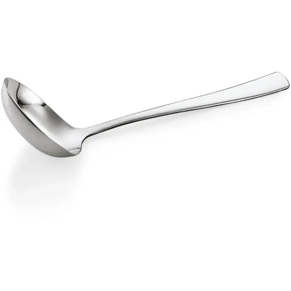 Sauslepels | HAMBURG | RVS | 12 Stuks | Lengte 185mm