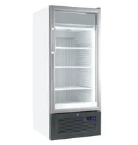 Liebherr Vrieskast | 365L | Wit/Grijs | -10°C/-25°C | Geforceerd | NoFrost | Temperatuuralarm | Wielen | 670x730x1659(h)mm