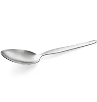 WAS Germany Saladelepels | NP 80 | RVS | 12 Stuks | Lengte 225mm 