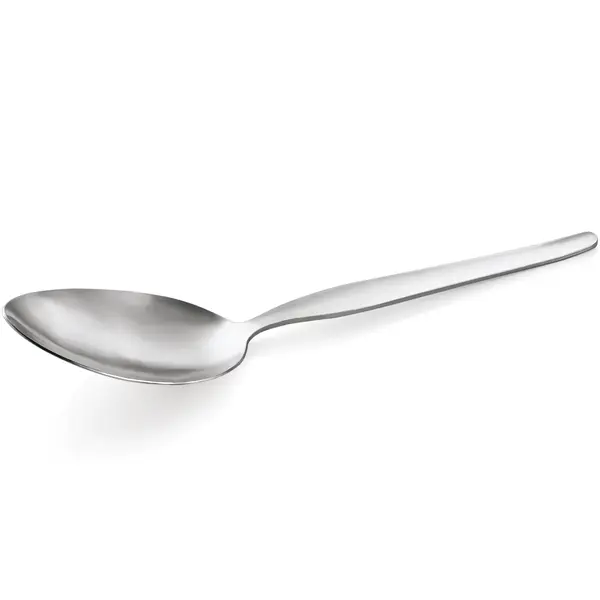 Saladelepels | NP 80 | RVS | 12 Stuks | Lengte 225mm