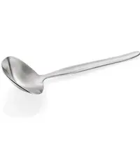 WAS Germany Sauslepels | NP 80 | RVS | 12 Stuks | Lengte 185mm 