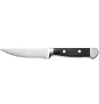 CARLOS Steakmessen | RVS/Kunststof | 6 Stuks | Lengte 255mm