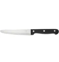 CARLOS Steakmessen | RVS/Kunststof | 6 Stuks | Lengte 250mm