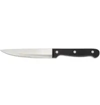 CARLOS Steakmessen | RVS/Kunststof | 6 Stuks | Lengte 250mm